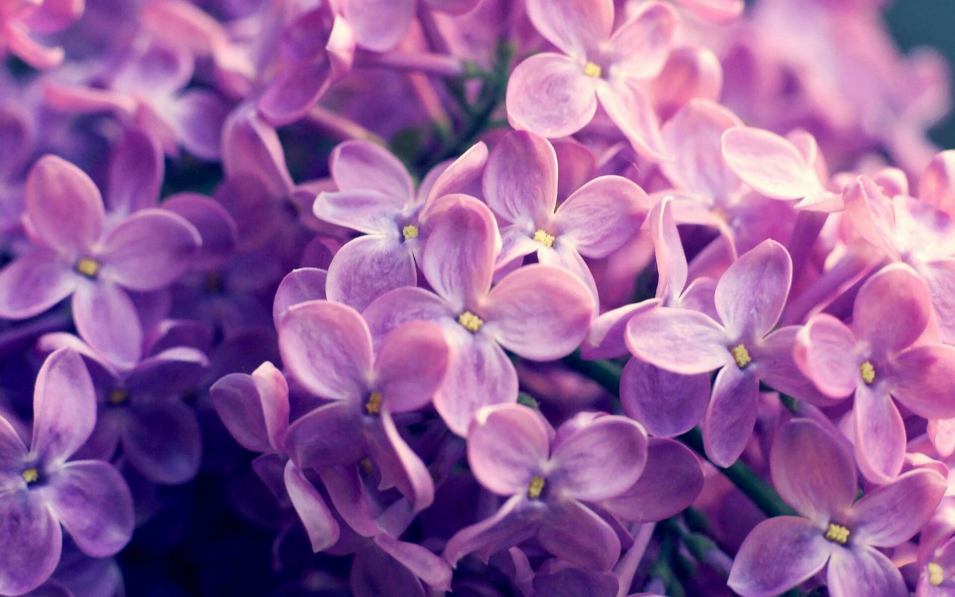 IM体育动画直播通道-英格拉姆末节狂飙，黄蜂蛰伤魔术锁定胜局